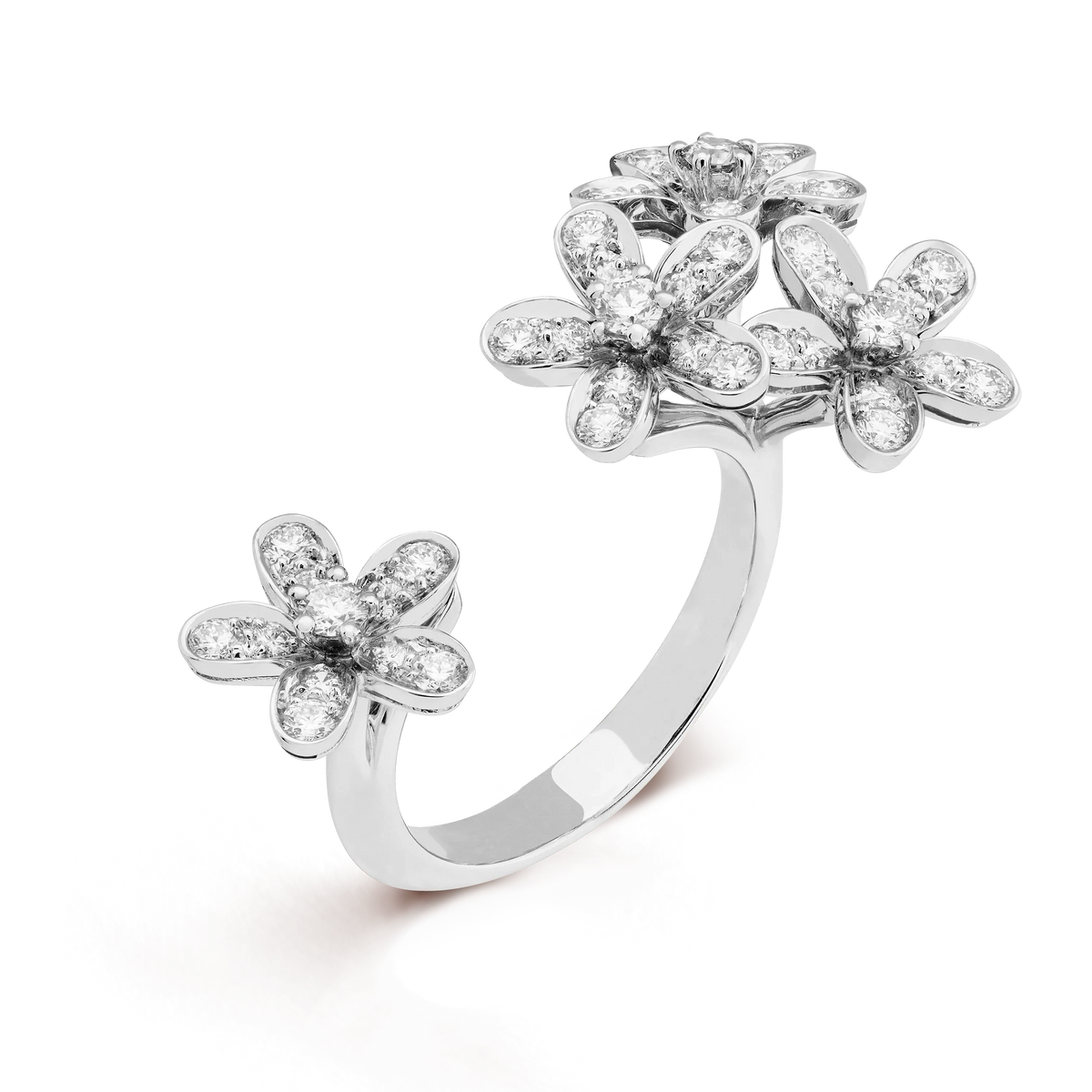 Van Cleef & Arpels Socrate Collection