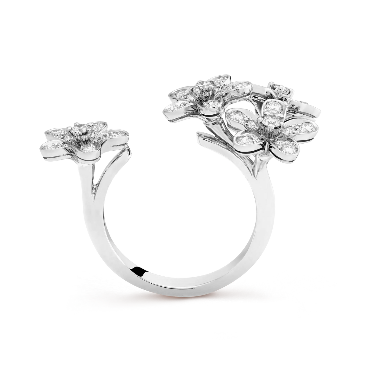 Van Cleef & Arpels Socrate Collection
