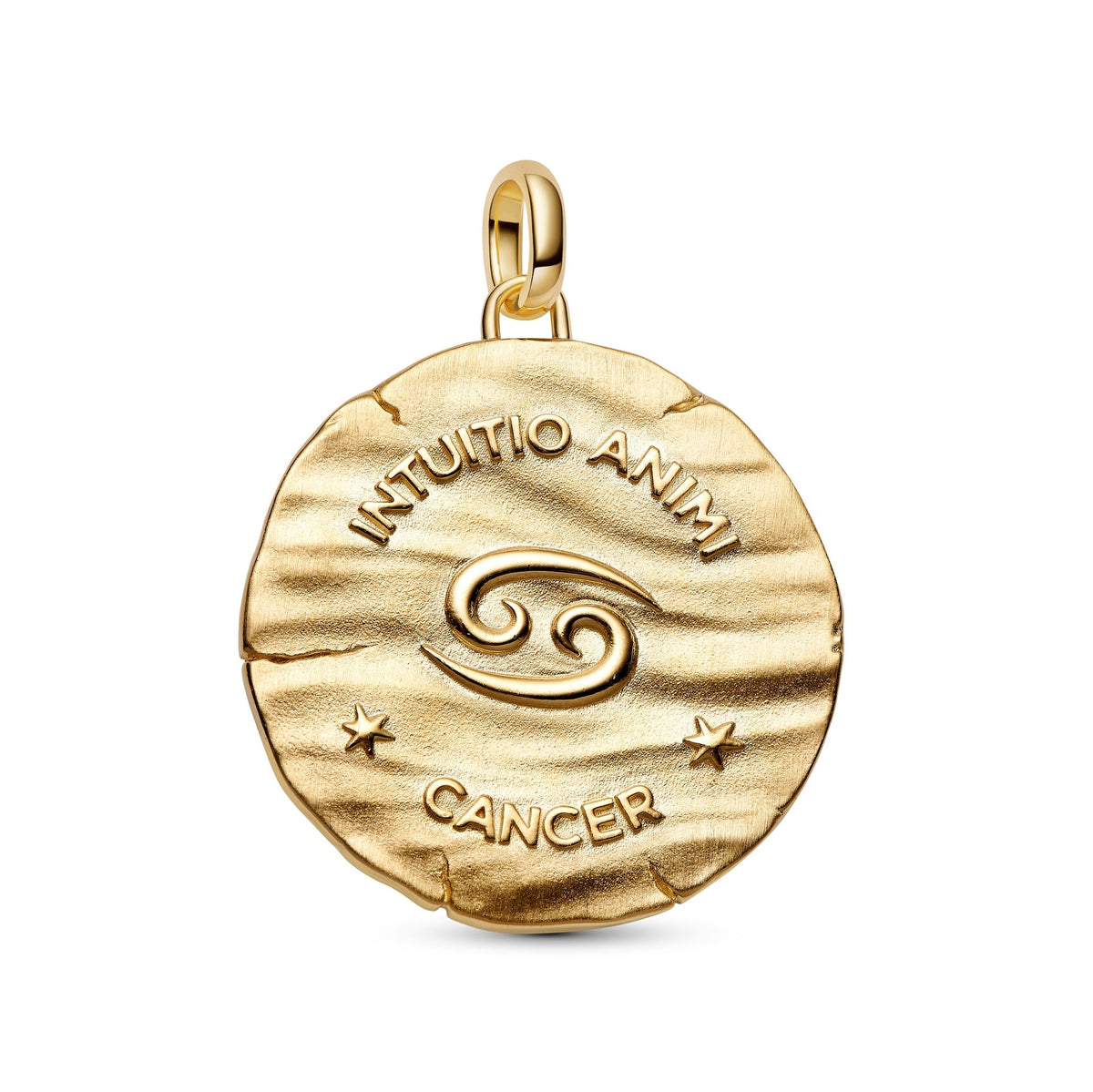 Pandora Cancer Zodiac Oversized Medallion Charm