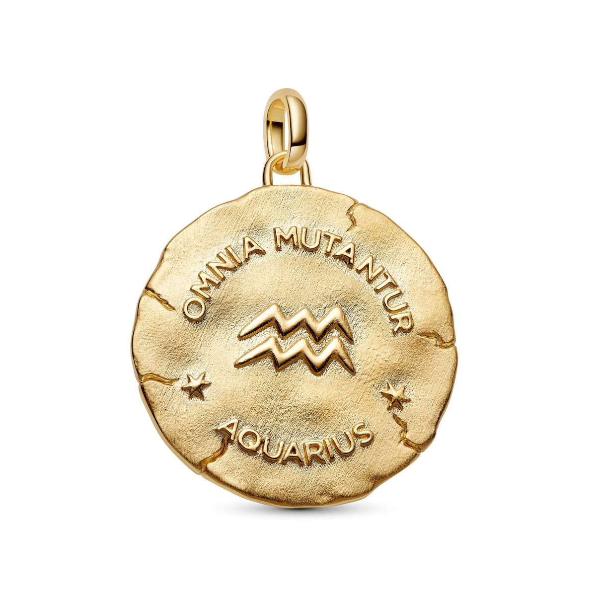 Pandora Aquarius Zodiac Oversized Medallion Charm