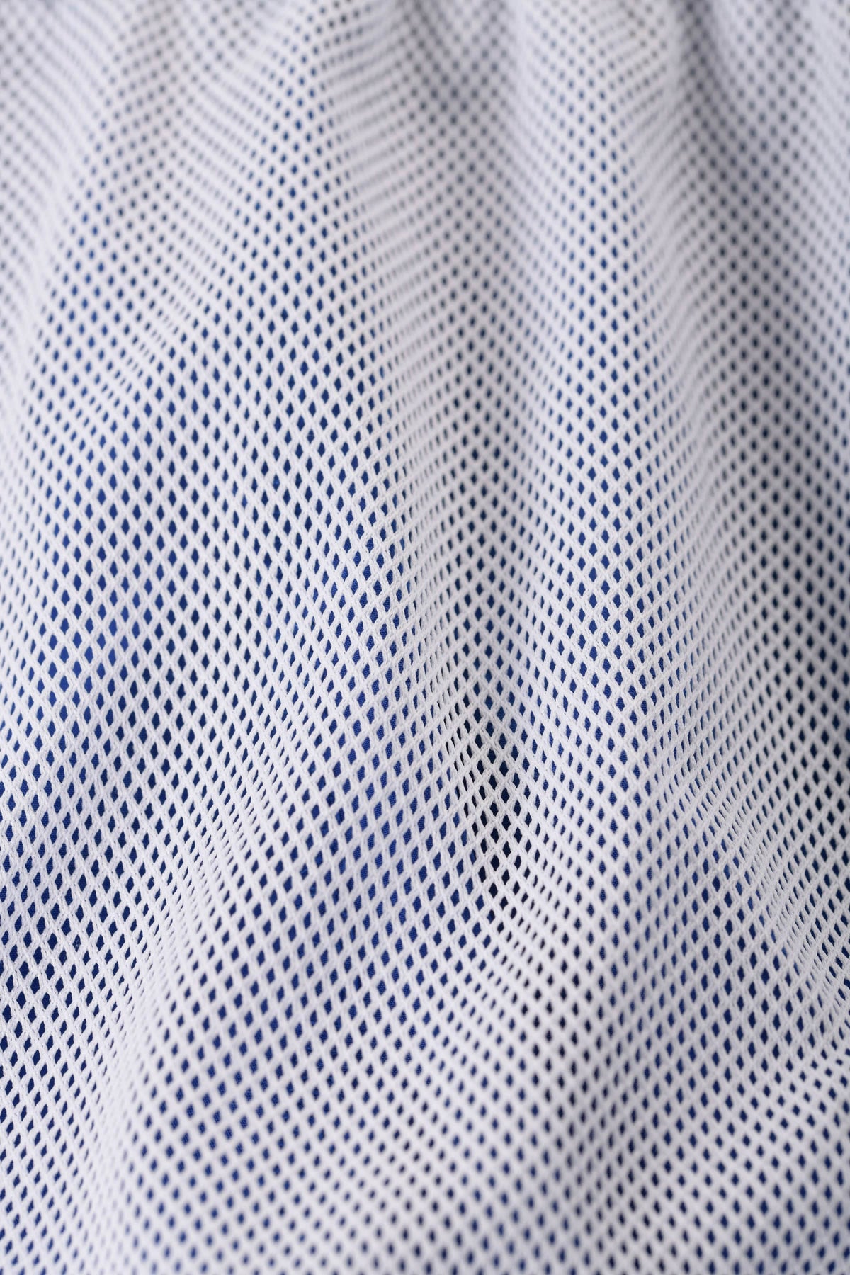140 Frooty Swim Shorts