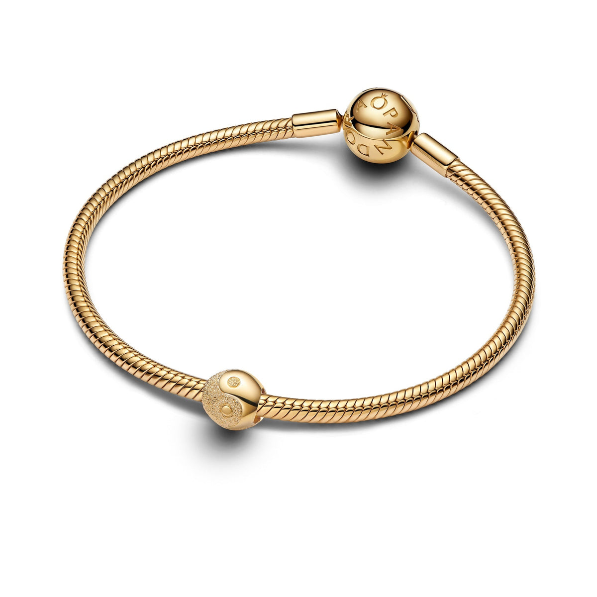 Pandora Textured Yin and Yang Mini Charm