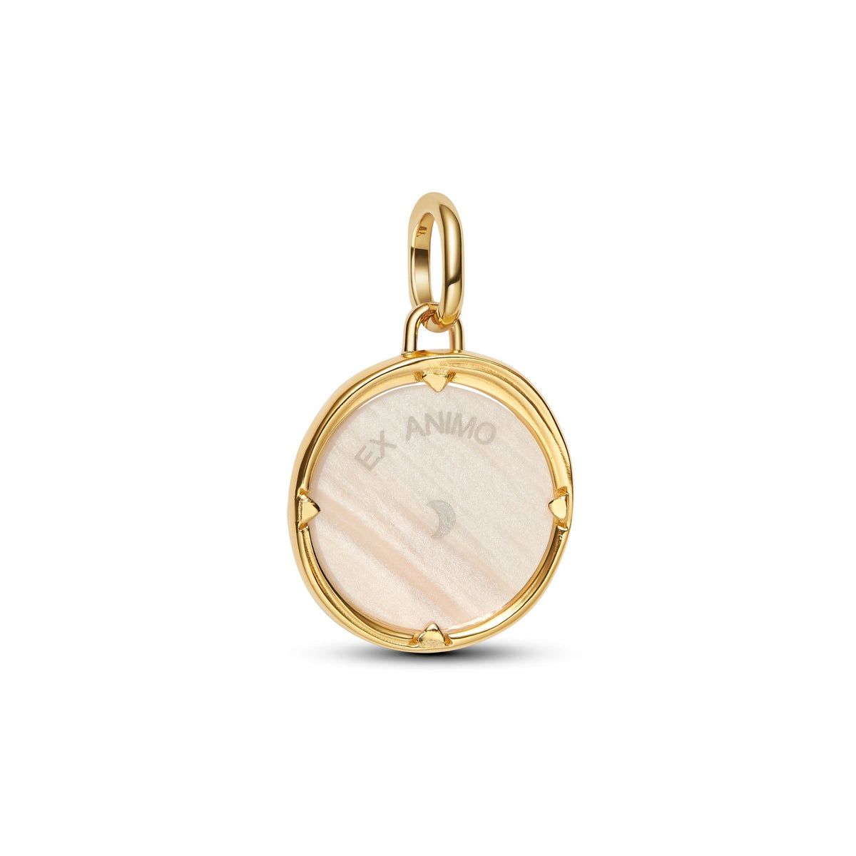 Pandora Pegasus Medallion Charm