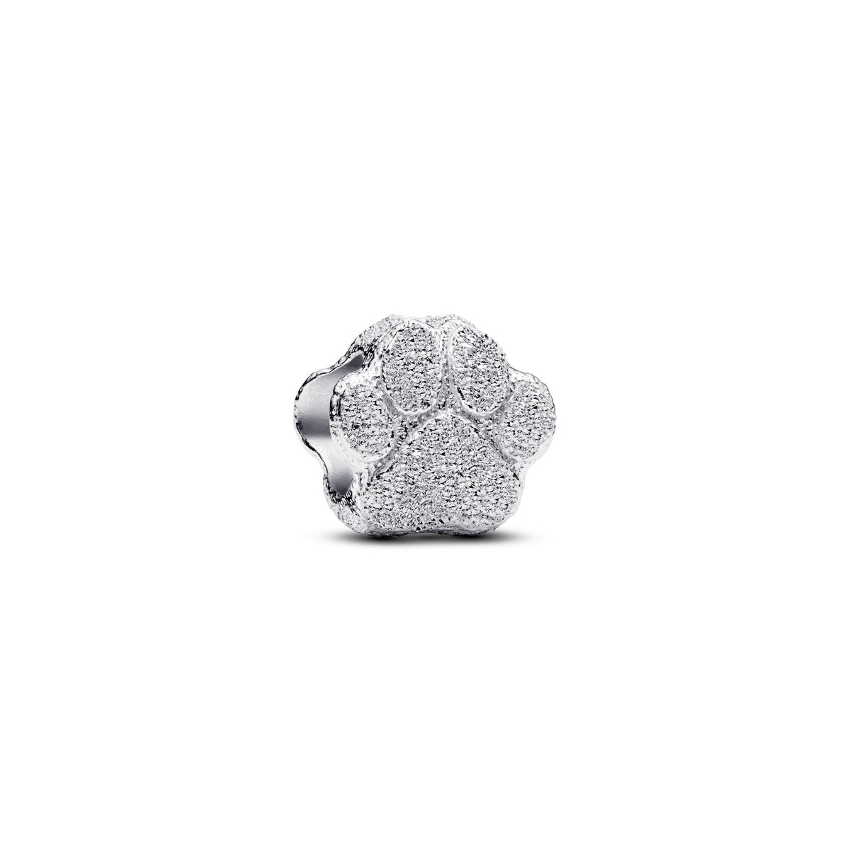 Pandora Textured Paw Mini Charm