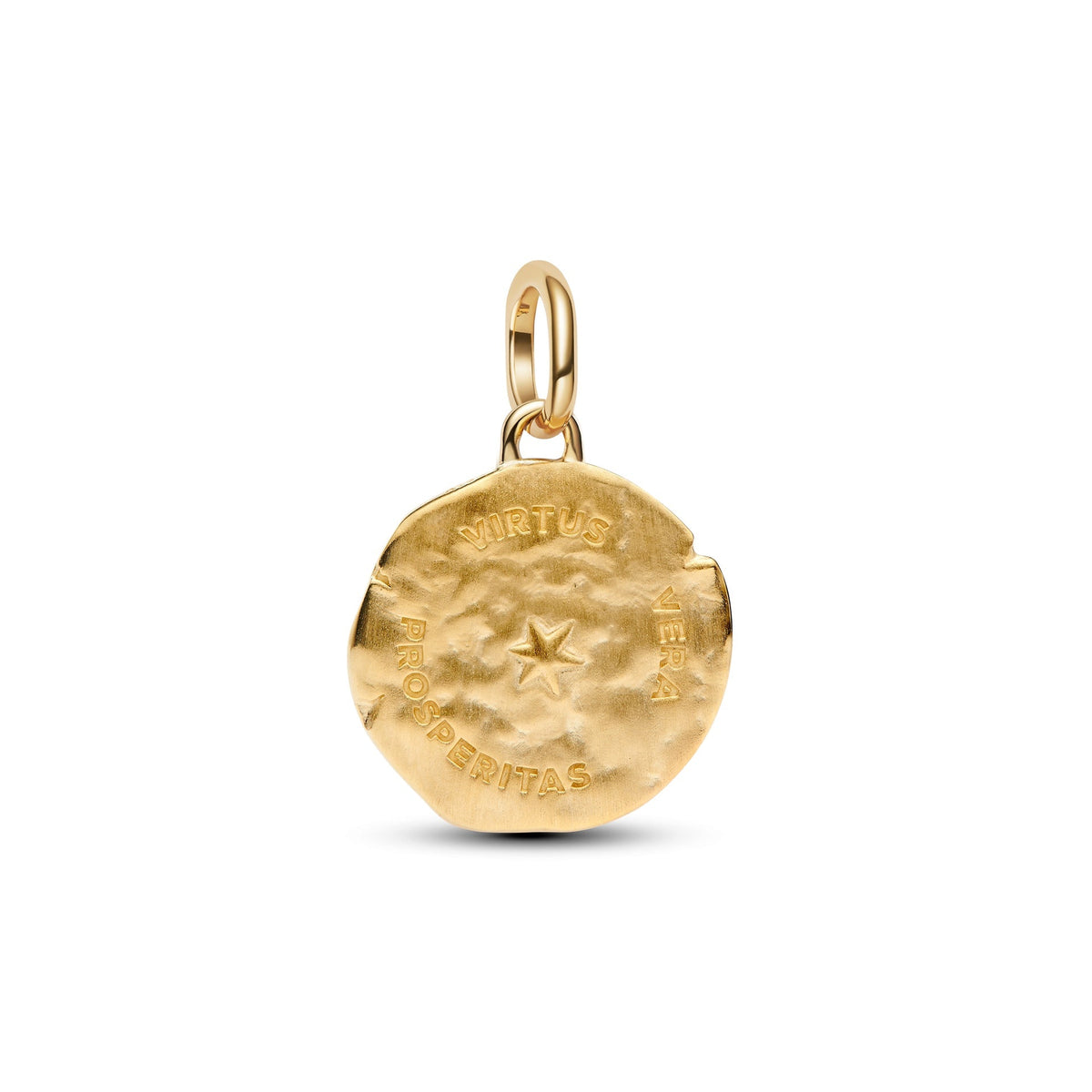 Pandora Wheat Medallion Charm