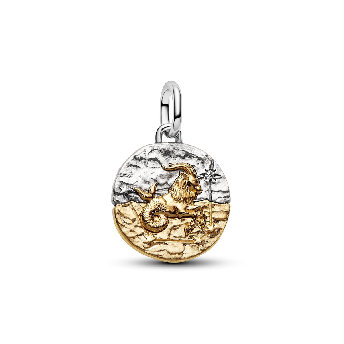 Pandora Capricorn Zodiac Medallion Charm