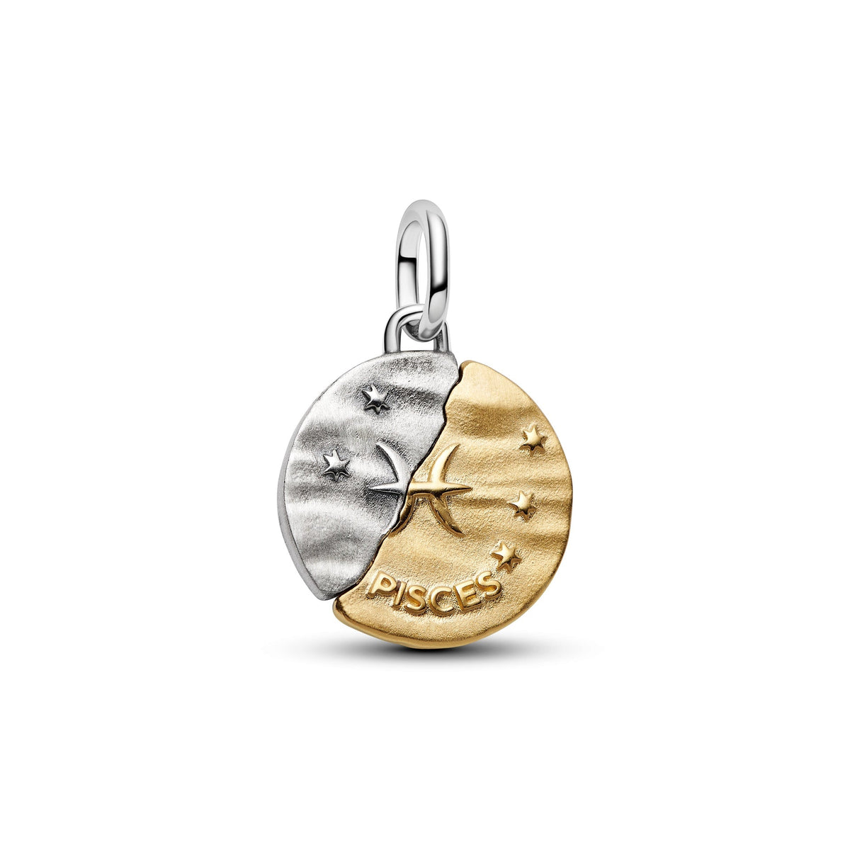 Pandora Pisces Zodiac Medallion Charm