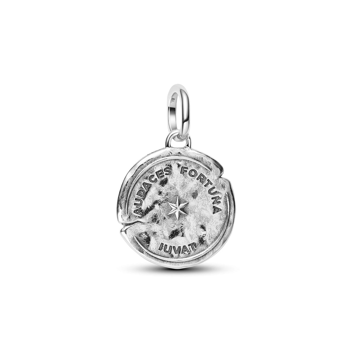 Pandora Dolphin Medallion Charm